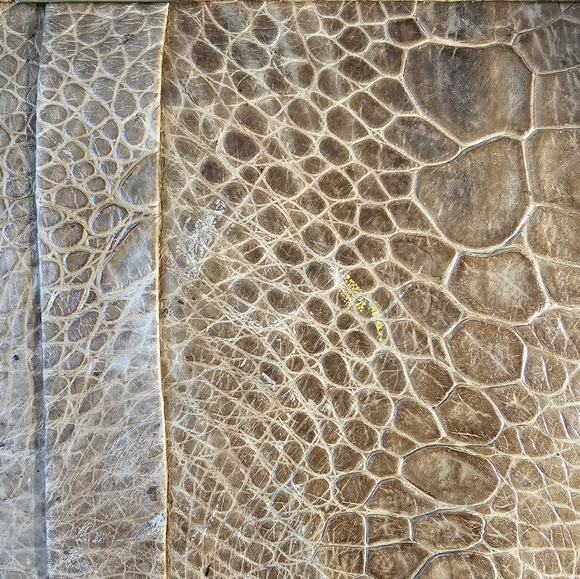 Rare Vintage 1950s-60s Exotic leather purse - Picture 5 of 10